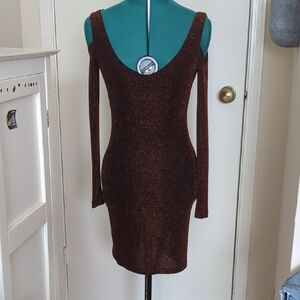 Forever 21 Shimmering Brown Long Sleeve Dress